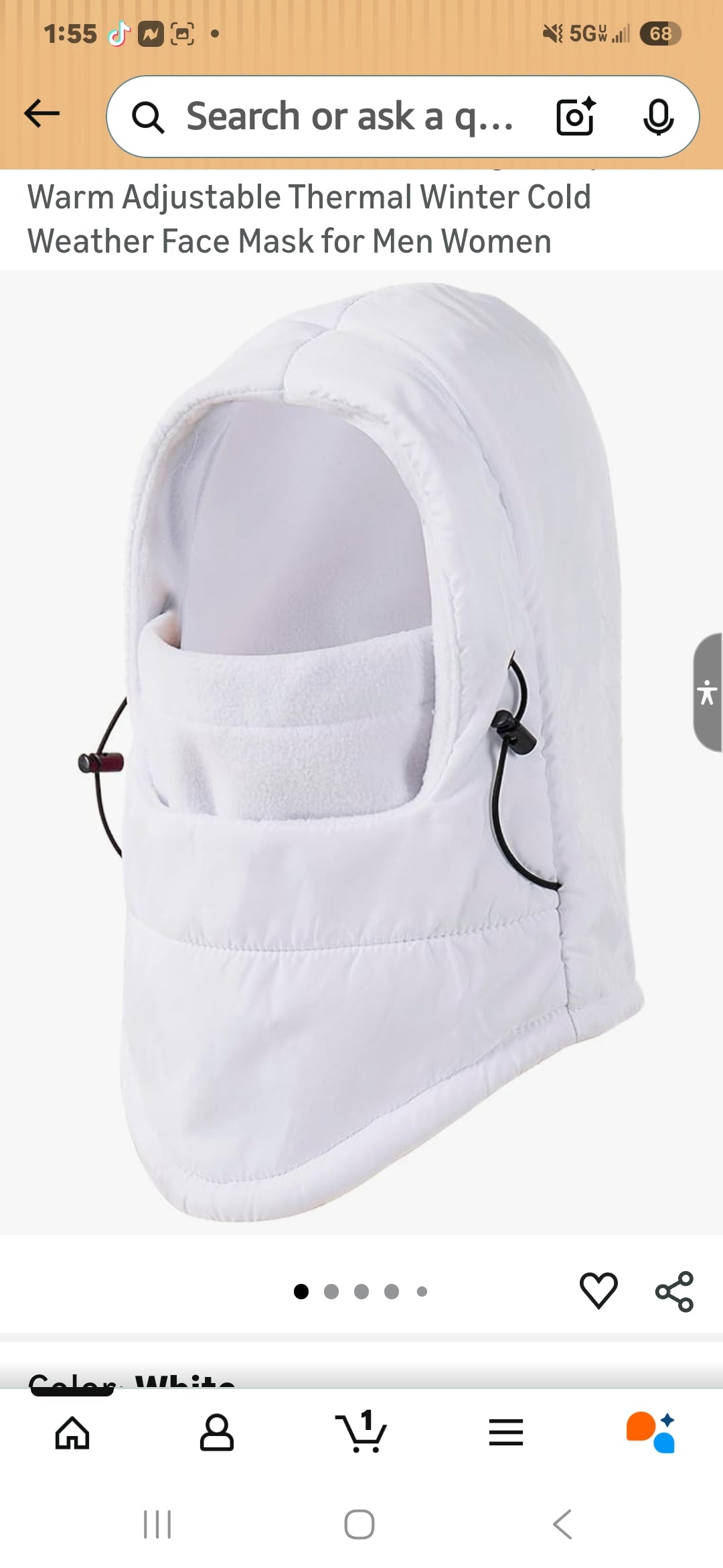 Ski Mask